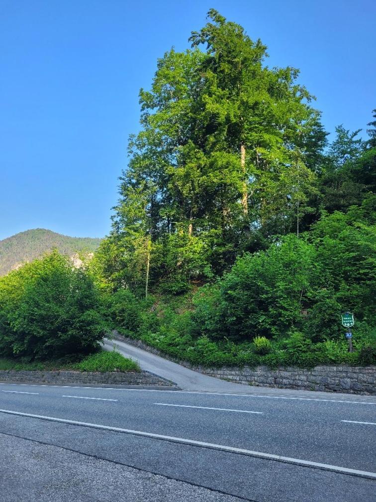 Ferienwohnung Metzenleitner Berchtesgaden Exteriér fotografie